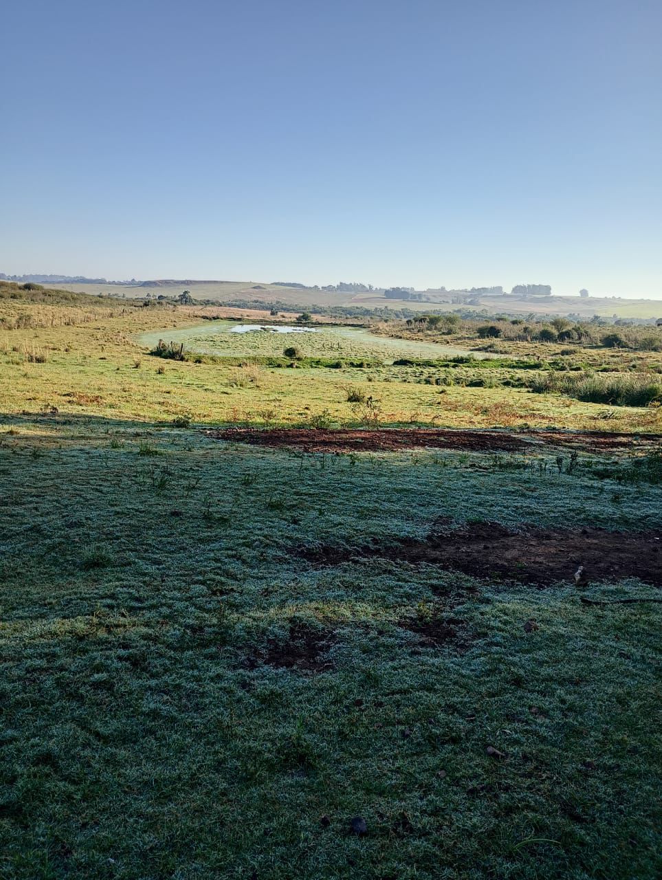 Serviço com máquina em propriedade rural